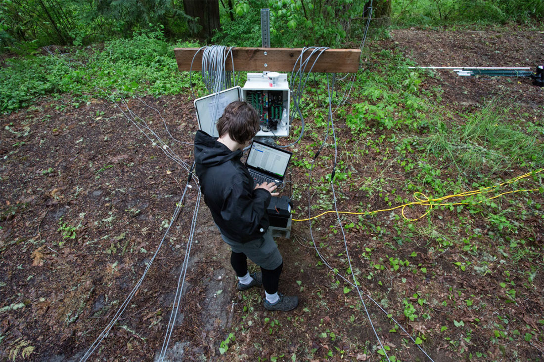 The Washington Stormwater Center is researching the use of sap flux sensors that measure a tree’s stormwater uptake, providing important information for urban foresters and conservationists.