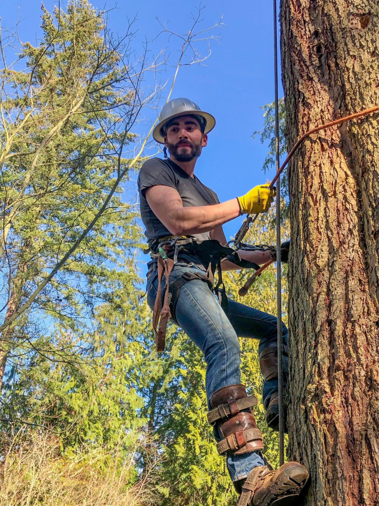Mike Carey, urban forest program manager for the city of Tacoma, uses American Forests’ Tree Equity Score to help prioritize where to plant the trees that keep communities cool and filter stormwater flowing into Puget Sound.