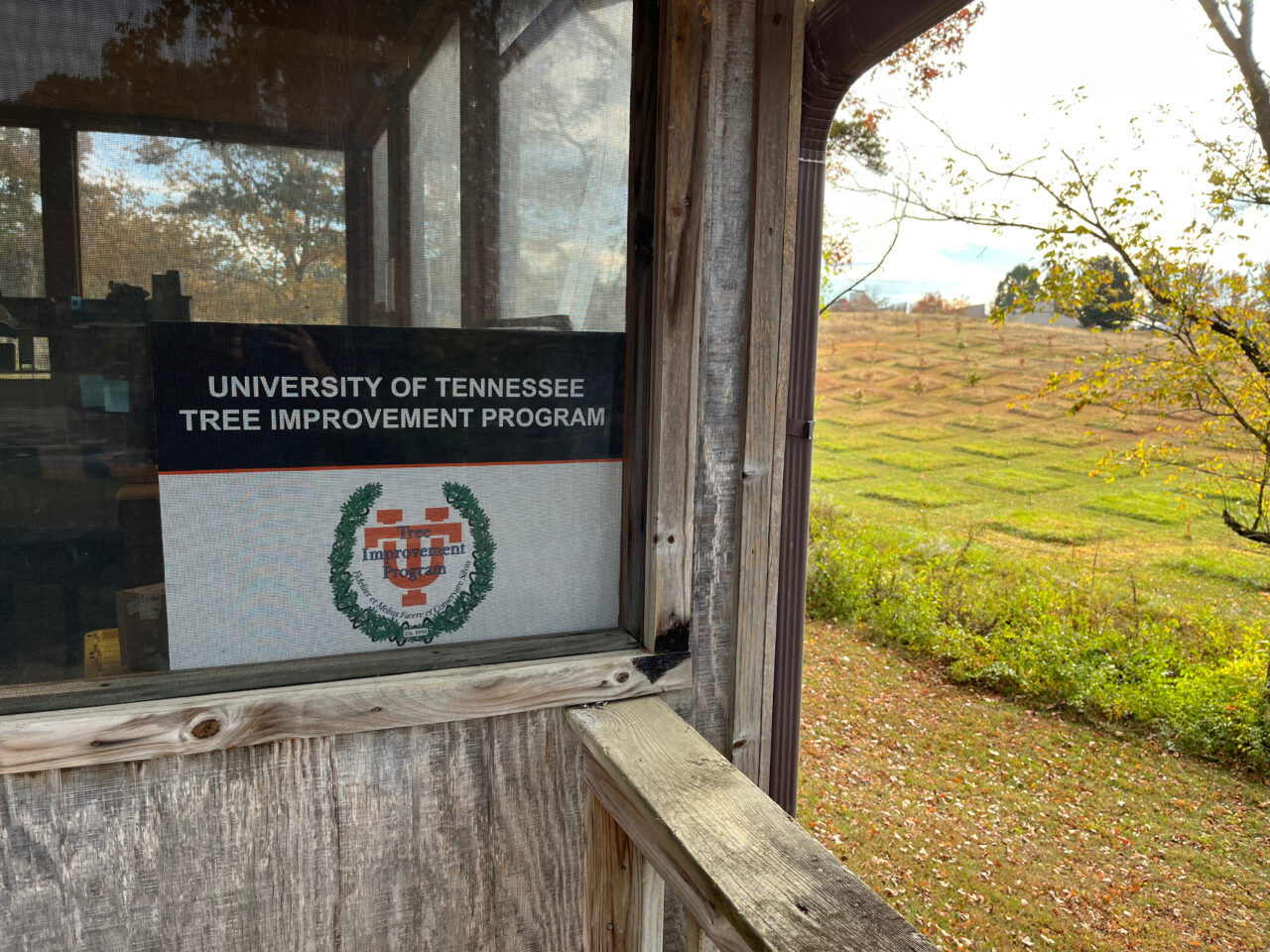 The UT Tree Improvement Program began 65 years ago with a simple mission: to faithfully improve and protect the forest, a translation of the Latin in its seal. Mitzy Sosa / American Forests