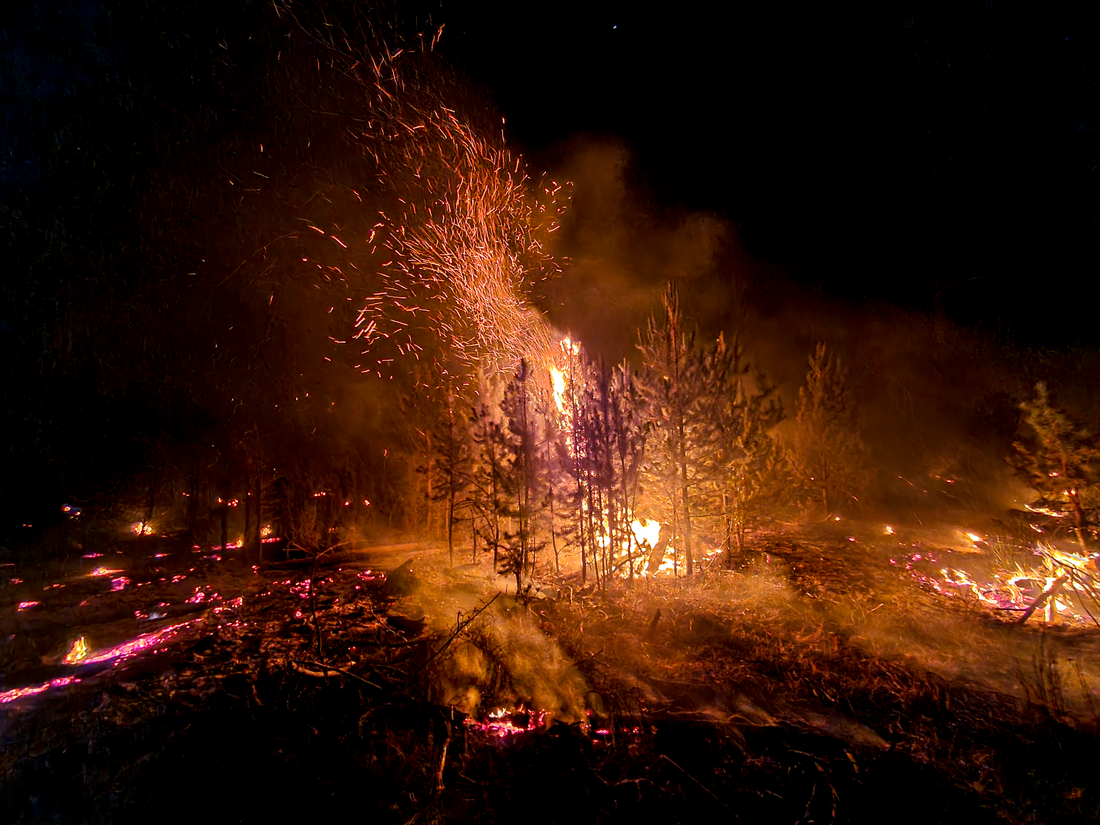 Fire flows through the landscape on it's own time. This stand of Lodgepole pine saplings torched after dark, several hours after prescribed fire ignitions concluded. CREATOR Ryan McCarley