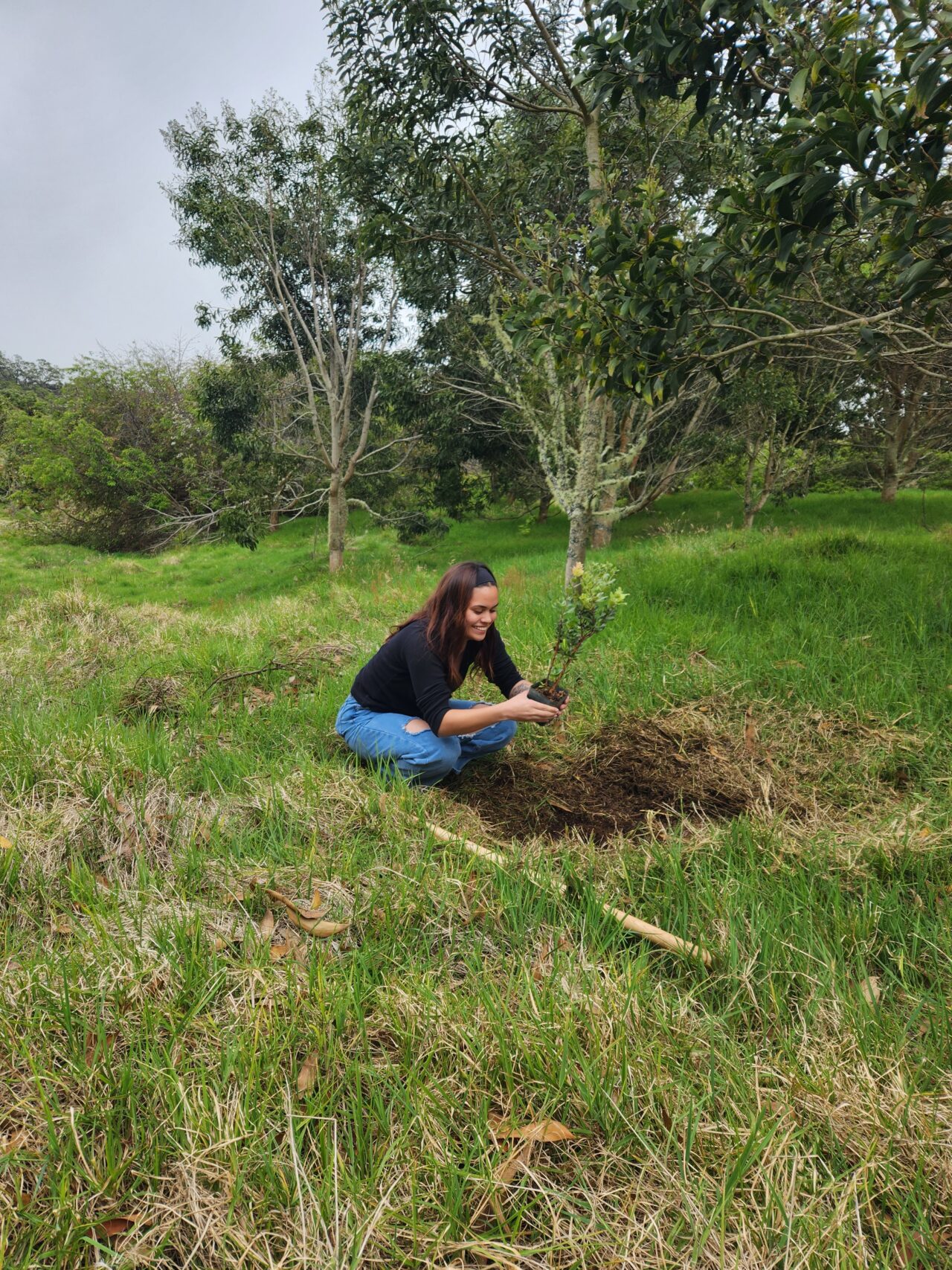 Image of a young woman planting a tree Courtesy of Pilina Aina