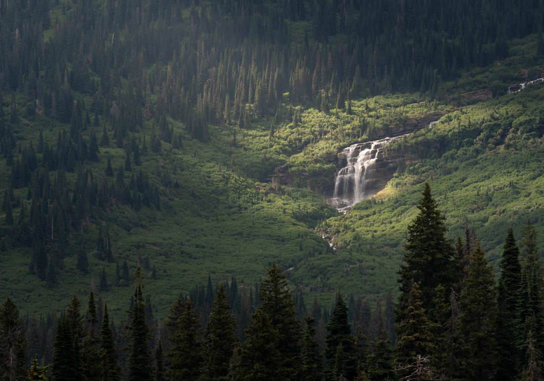 Forest Landscapes: The emerging sun calling attention to a distant waterfall in the heart of Glacier National Park CREATOR Corey Butterworth (Instagram: @cmb_focus)