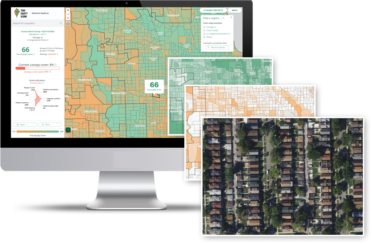 This is the graphic for the corporate partner profile and highlights four ways to view canopy information in the National Explorer application. On the main screen is the Tree Equity Score map layer (which incorporates the Google tree canopy data). In the cascading layers—tree canopy cover (green), tree canopy gap (orange), and satellite imagery.