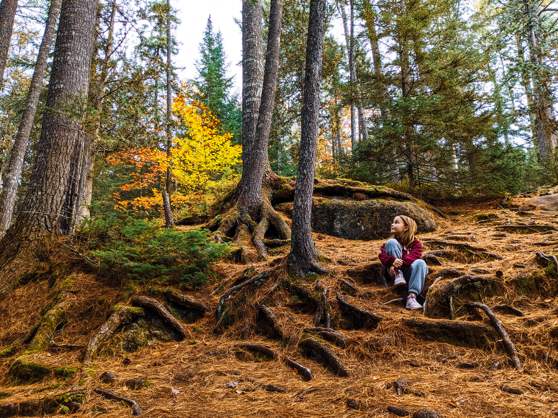 Child sitting in the forest in Autumn Category: Forest and People CREATOR Instagram @kellyjeanmorrisonphotography