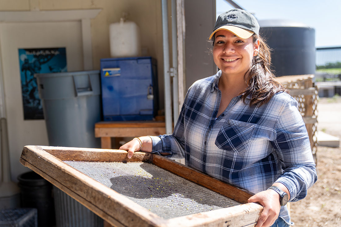 Gisel Garza holds a screen with seeds recently cleaned at the Marinoff Nursery. After processing, the seeds are placed in cold storage until they are ready to be grown.