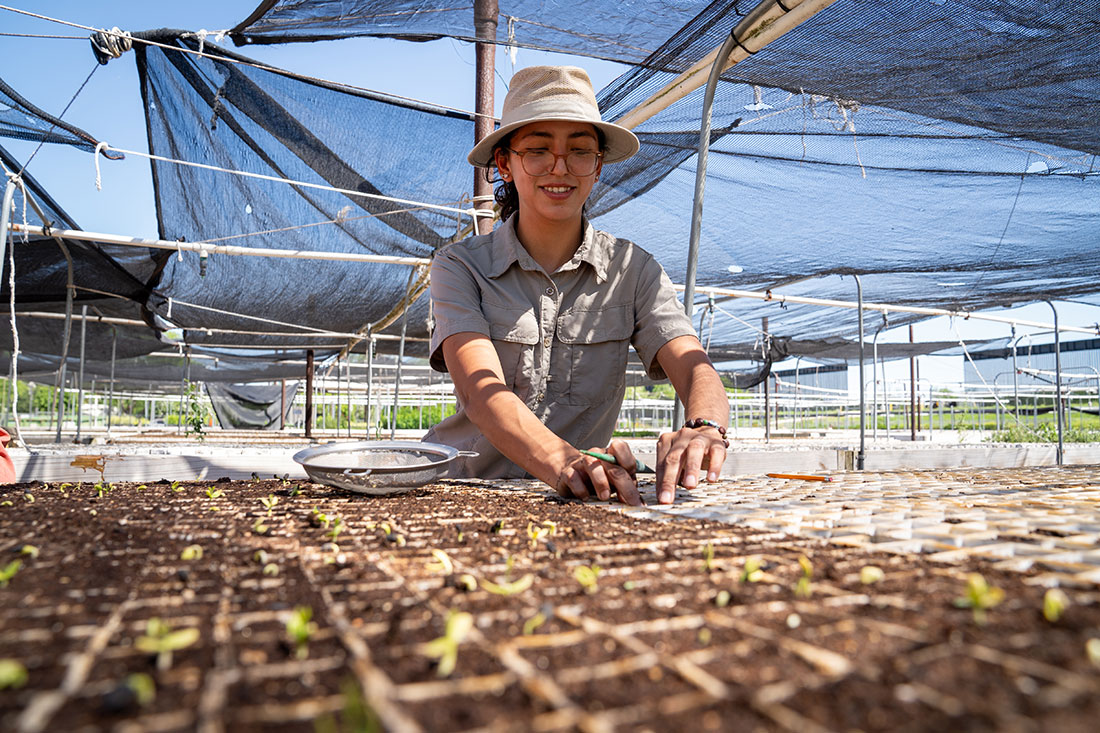 At Marinoff Nursery, Jennifer Lee Baez, American Forests’ manager of Rio Grande Valley nursery operations, uses a small tool to create a furrow in soil and sow seeds ready for planting.