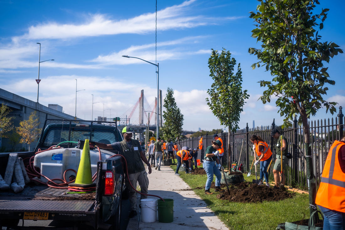 Bulleit NYC Planting, September 12th 9am-12pm Long Island City/Maspeth Corner of Laurel Hill Blvd & 54th Ave American Forests’ Tree Equity Event Hosted by NYC Parks Tree Time Sponsored by Bulleit We will plant 50 trees on Review Avenue from 56th Road to 37th Street and Laurel Hill Blvd between 54th Av and 56th Road. Both locations have a Tree Equity Score of 65. On Review Avenue, just a block away from Newtown Creek and sandwiched between Greenpoint Brooklyn and Long Island City Queens this stretch of Review Avenue is currently treeless. Without any trees, folks walking this sidewalk are not only hit directly by sun but also reflected heat from the tall stone wall next to them. The proposed trees will shade pedestrians as well as this wall combating one hyper local factor that contributes to the heat island effect. The neighborhoods along Newtown Creek have been disproportionately impacted by the past 150 years of industrial activity along the waterfront and increasing canopy cover for this community is an issue of equity. Both the Brooklyn Queens Expressway and the Long Island Expressway present ongoing air quality challenges that trees will help mitigate. This stretch of Laurel Hill Blvd runs between the Kosciuszko Bridge and Calvary Cemetery and features a sidewalk, two lanes of traffic, and the bike lane that leads onto the bridge and over Newtown Creek. There are zero trees along this section of road. There is ample space between the sidewalk and fence line to plant large canopied trees that can provide much needed shade for cyclists and pedestrians alike. CREATOR NYC Parks Tree Time, American Forests/Tree Time/Leonid Clim