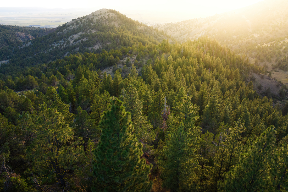 The J.M. Kaplan Fund focuses on supporting efforts that move the needle on restoration and addressing climate change in innovative ways, both through direct programming and policy, and strives to engage with their partners to see cutting-edge work that generates tangible impacts to help states and Congress move climate equity forward.