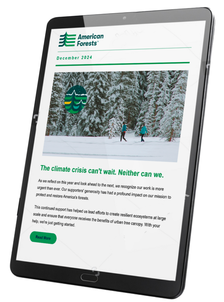 American Forests newsletter on ipad screen.