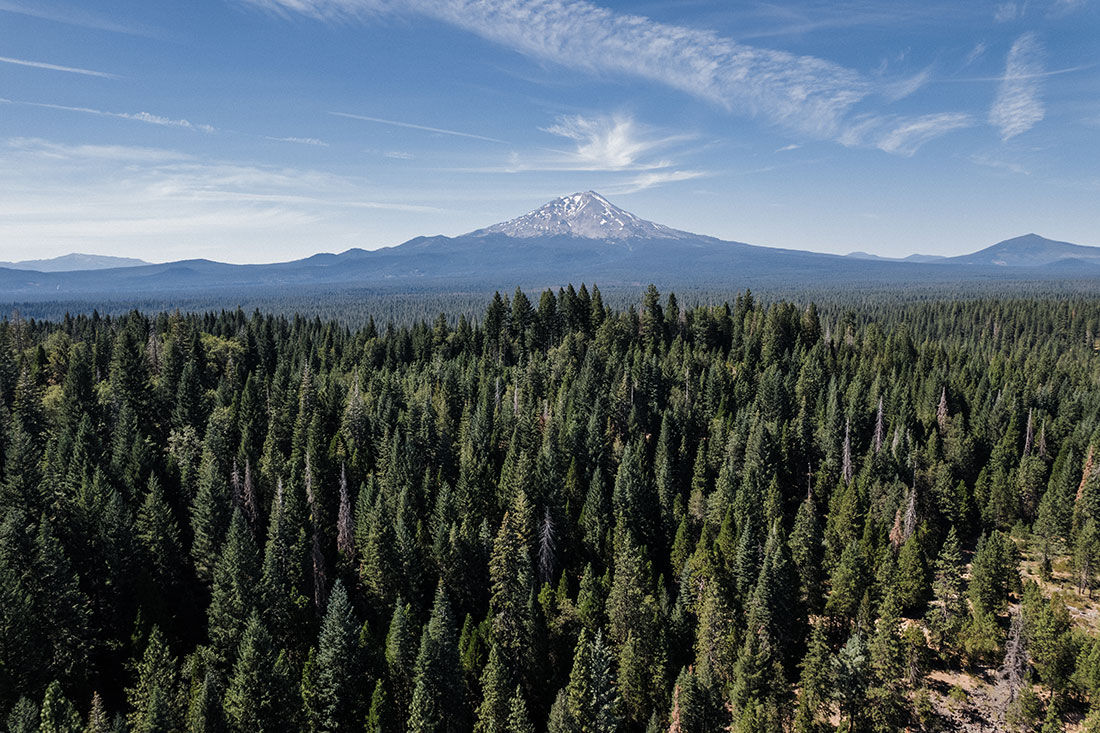 Mt. Shasta view from Shasta Trinity National Forest