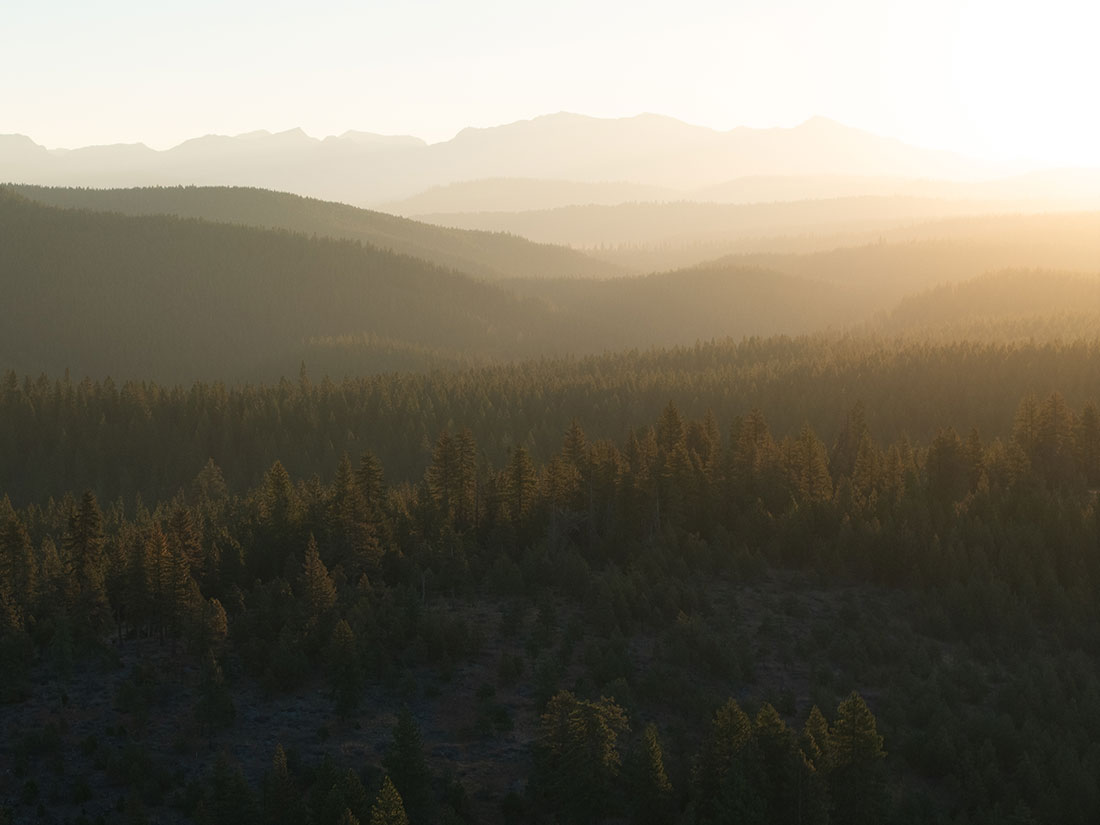 Eldorado National Forest