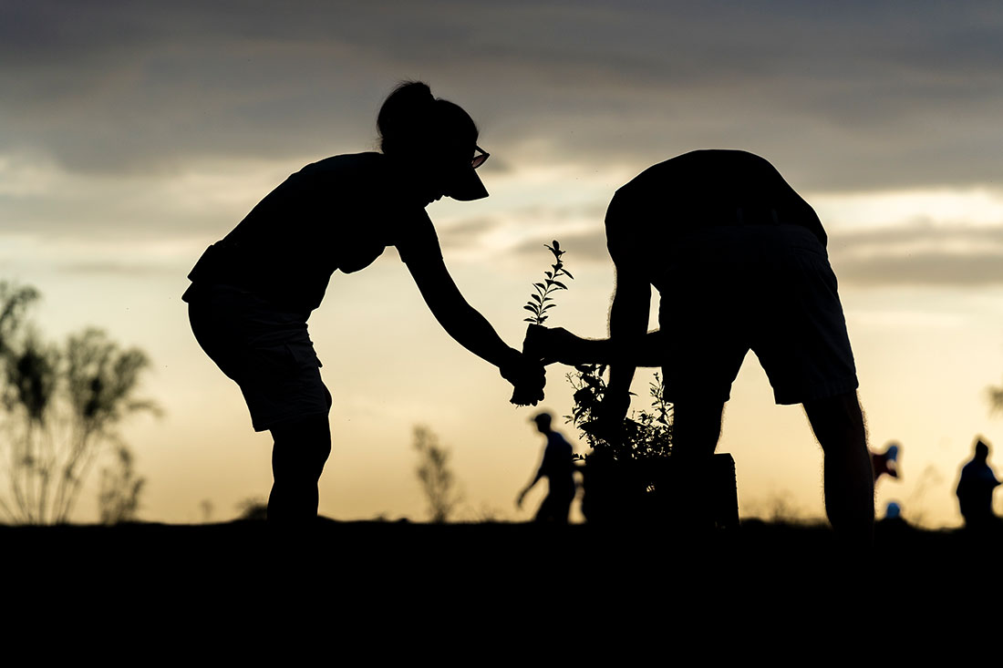 Silhouettes of volunteers planting at the 2024 Rio Reforestation community planting event in Texas' Rio Grande Valley.