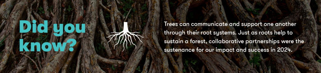 Did you know?  
Trees can communicate and support one another through their root systems. Just as roots help to sustain a forest, collaborative partnerships were the sustenance for our impact and success in 2024.