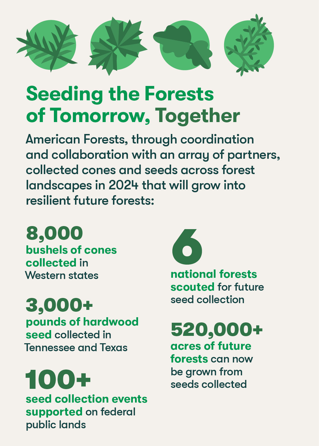 Cone Collection Infographic