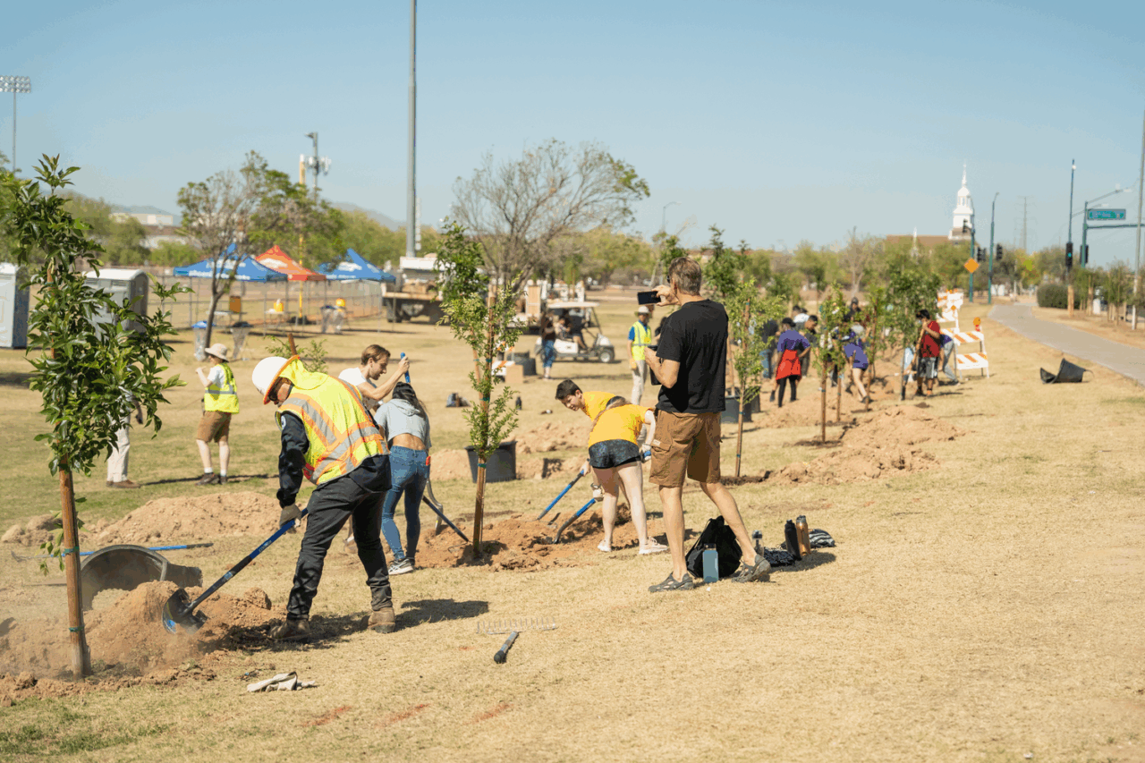 Volunteers and city of Phoenix staff planting trees to create the city's first "cool corridor." CREATOR Michael Jennings / American Forests