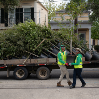 Catalyst Fund grantees hauling trees to planting
