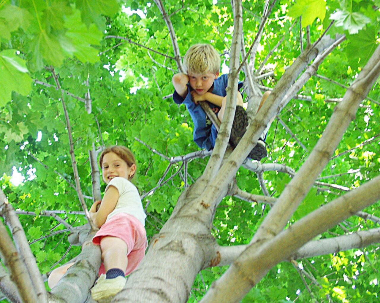 Eve Bernhard, as a child, climbs a tree with her best friend.