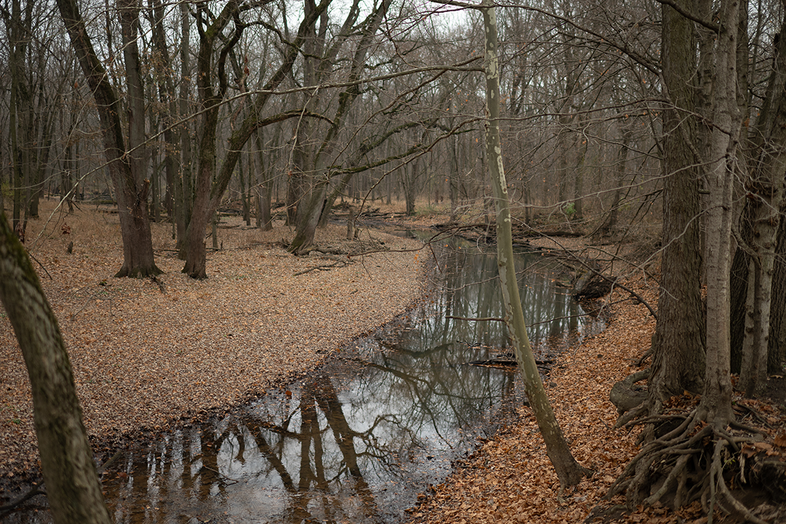 Goshen City, IN has embraced urban reforestation efforts in the aftermath of significant floods in 2018.