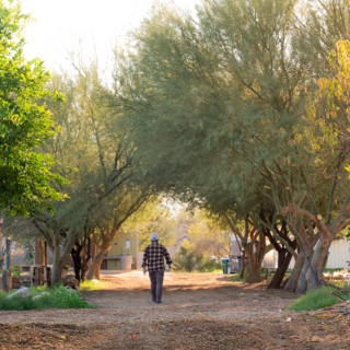 Masavi Parea walking in shade in Phoenix