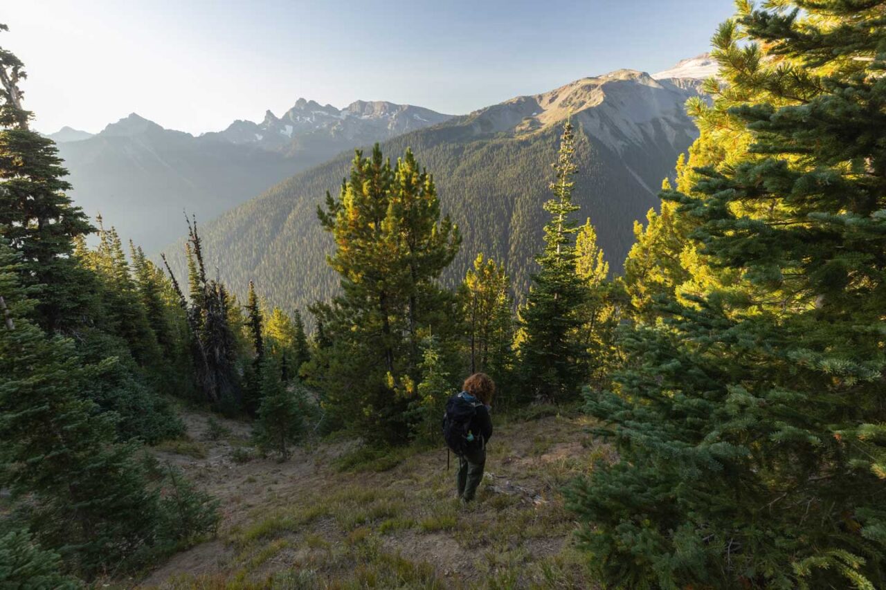 Eve Bernhard scouting whitebark pine in Mout Rainier National Park.
