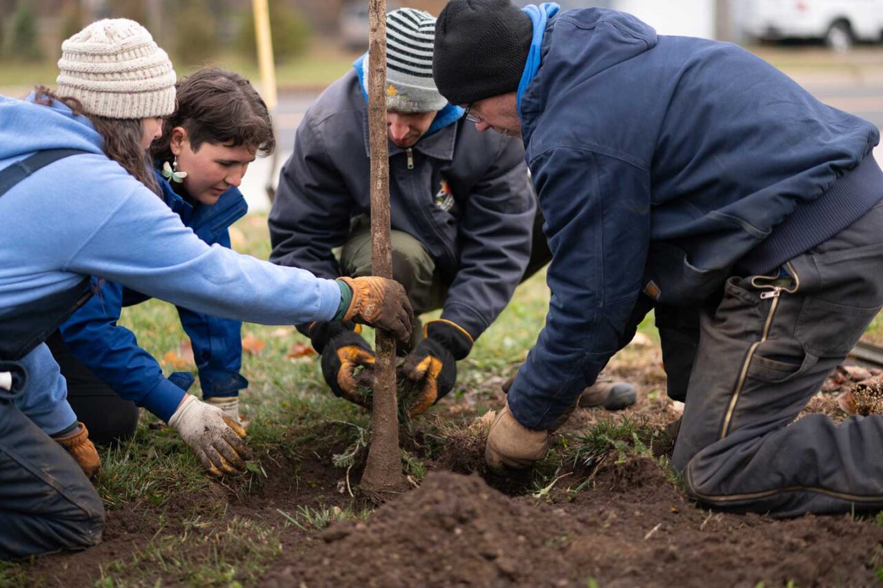 City of Goshen Department of Environmental Resilience Director Aaron Sawatsky-Kingsley works with his staff, including urban foresters Kendel Martin and Melanie Helmuth, and Americorps volunteers to plant a tree along an industrial corridor.