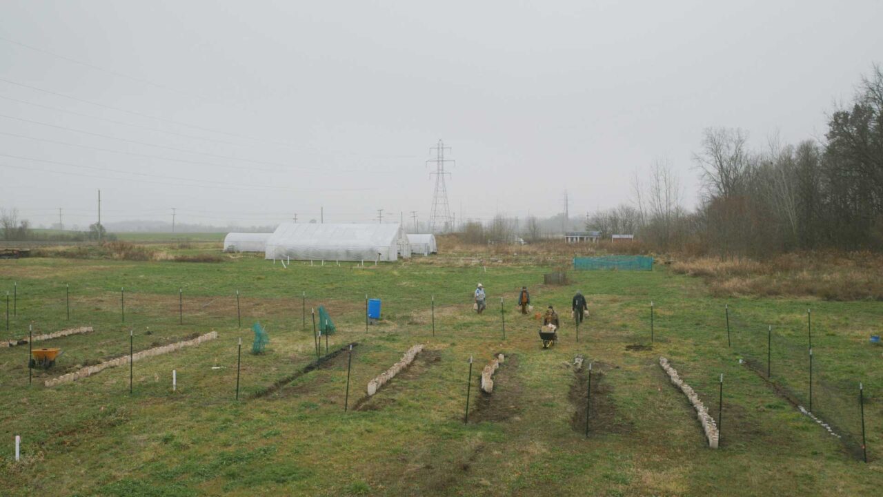 Nursery staff and interns help the city grow the supply of trees needed to reach its ambitious canopy goals.