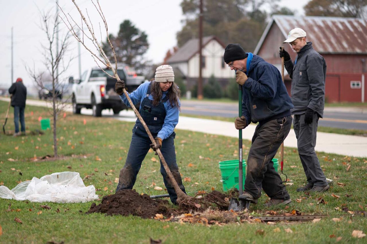 Helmuth (left) and Martin (right) plant a tree within the industrial districts of Goshen.