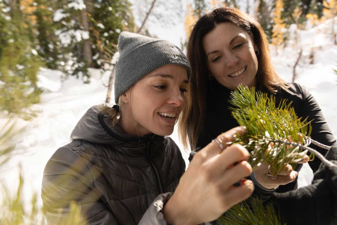 For Life Time Foundation, the health of these magical ecosystems is incredibly important for its members and athletes. The Foundation believes a healthy planet is critical for supporting healthy