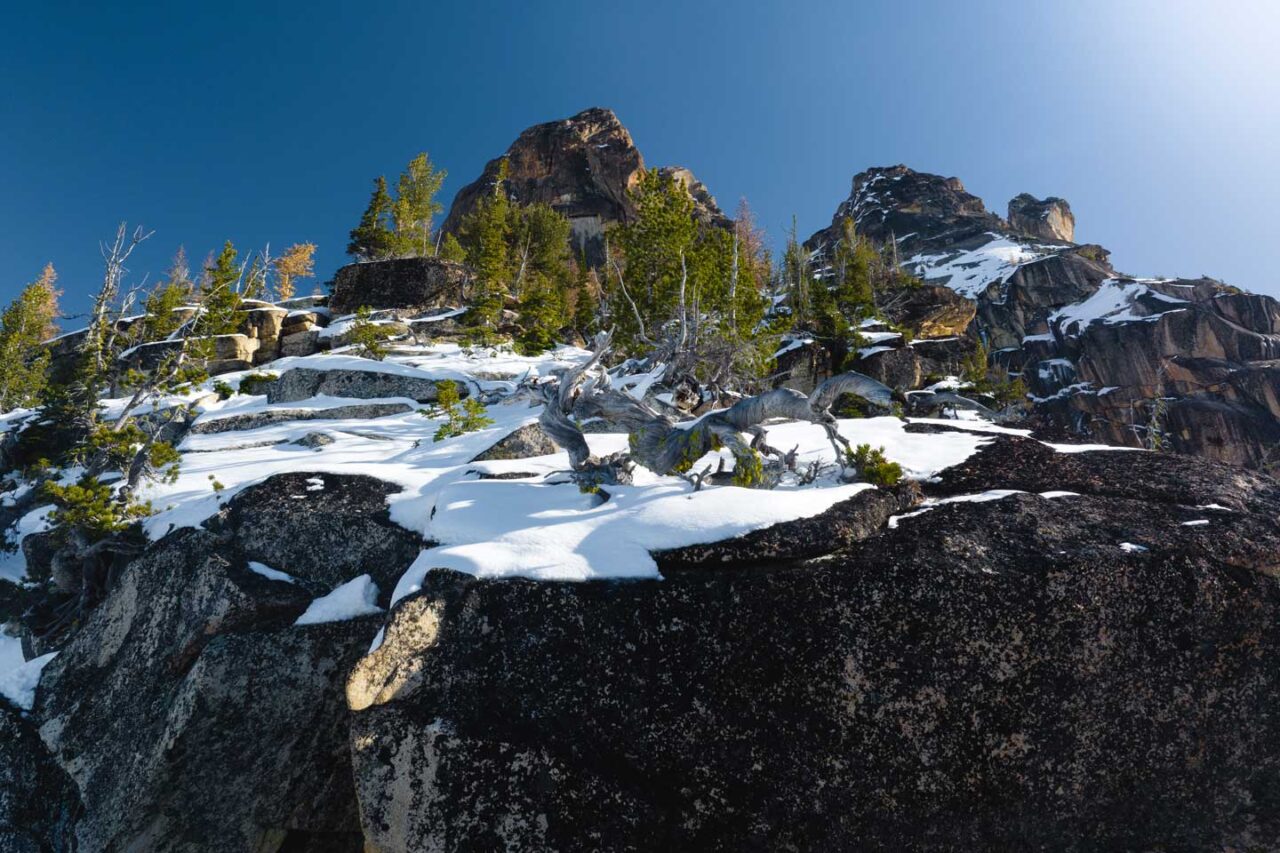 That sense of awe — the reason so many athletes chase summits and forested trails — depends on living systems that are intact.