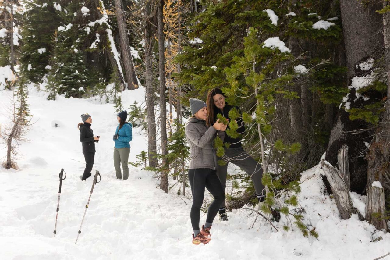 “American Forests has been really lucky to be supported by Life Time Foundation,” says Dr. Elizabeth Pansing, American Forests’ senior director of forest and restoration science . “We wouldn’t be able to do what we do for whitebark pine without that support and the shared visions that we have for the future of this planet. Together we can achieve not only the restoration and conservation of whitebark pine, but also the broader mission of conserving and restoring forests for people, for water and for wildlife.”