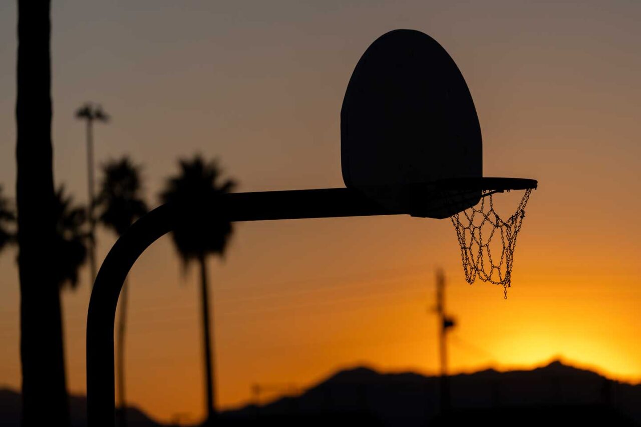 Extreme heat is a severe problem in Phoenix, which has seen record heatwaves in recent years, leading the City to make a commitment to Tree Equity.