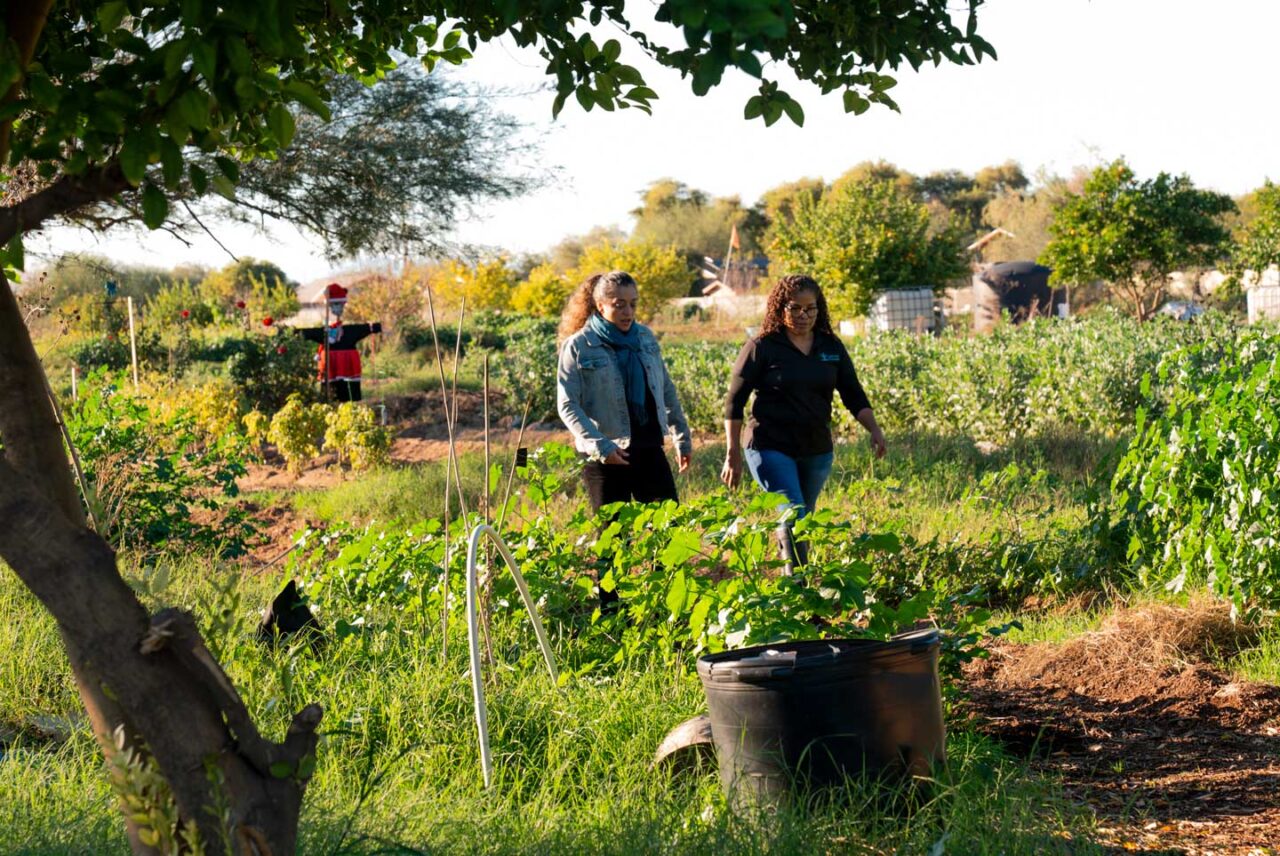 Minerva Velarde and Juana Silva at Spaces of Opportunity, a joint neighborhood venture to turn a former dumping ground into a community farm and orchard.
