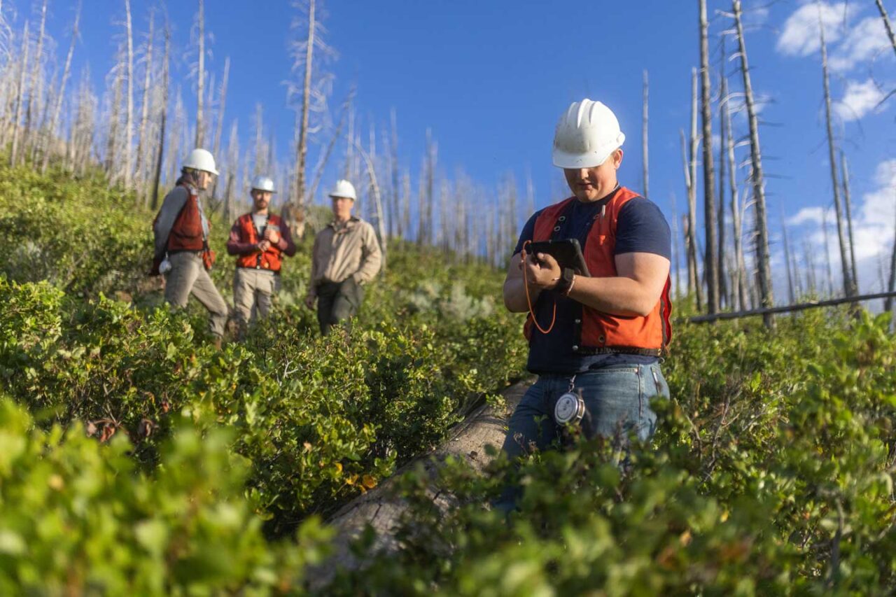 Rose (back left) was fortunate to be trained by, and learn from, his crew members and leads, including reforestation manager Joe Schafer (back middle), reforestation coordinator Anders Erickson (back right) and reforestation technician Bjorn Erickson (front).